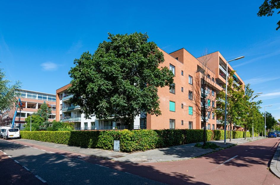 Zanglijsterstraat 15