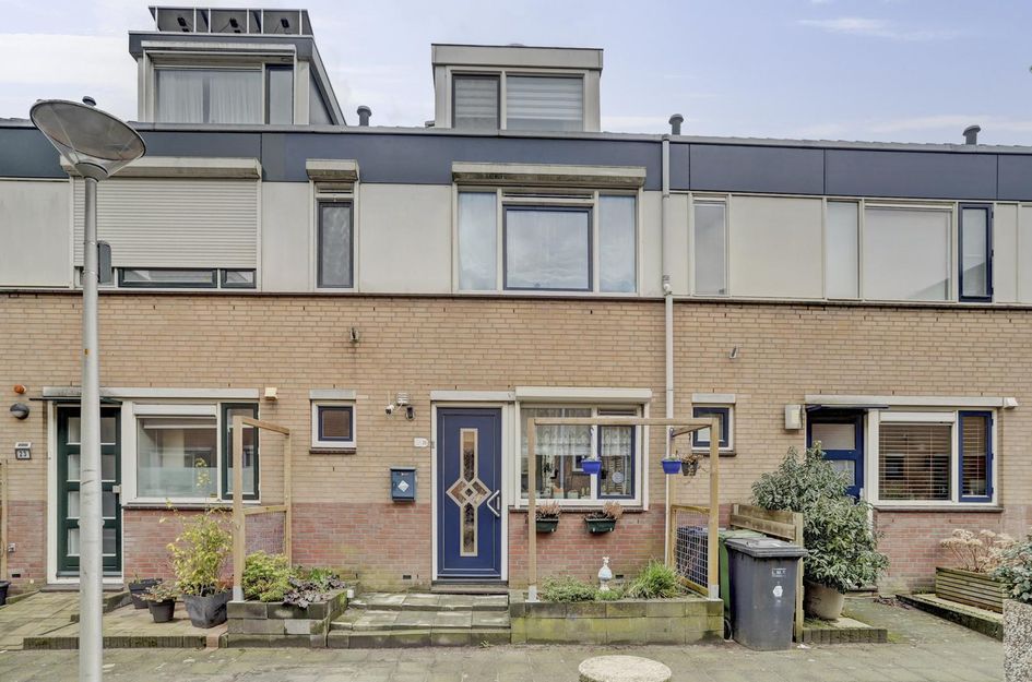 Zilvermeeuw 25