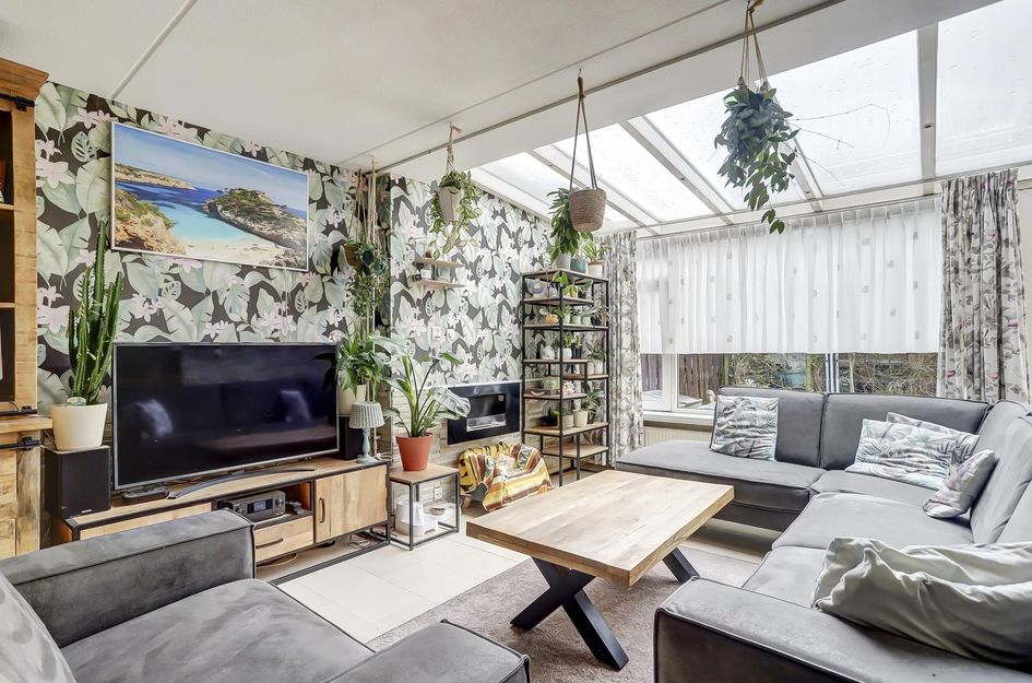 Zilvermeeuw 25
