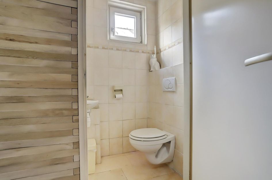 Zilvermeeuw 25