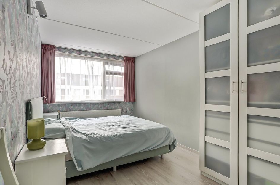 Zilvermeeuw 25