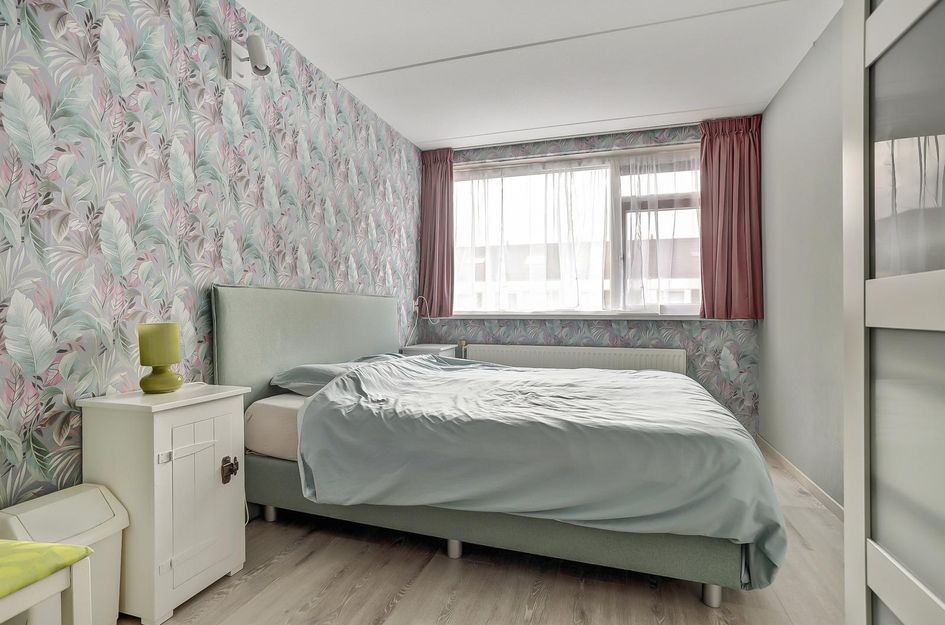 Zilvermeeuw 25