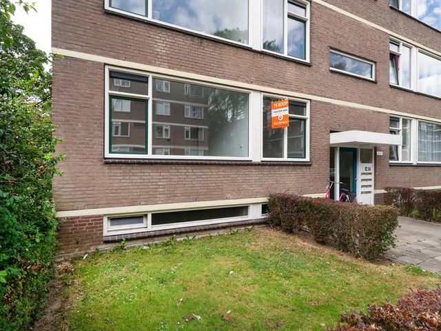 Ruigoord 41, Rotterdam