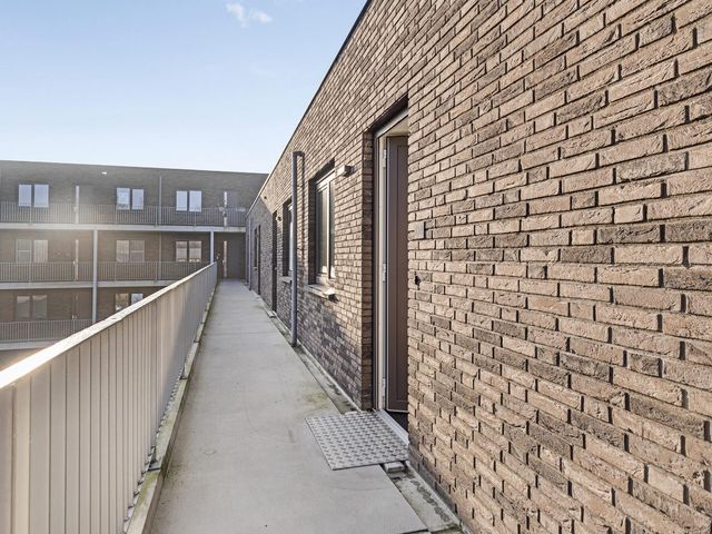 Bellamystraat 118, Terneuzen