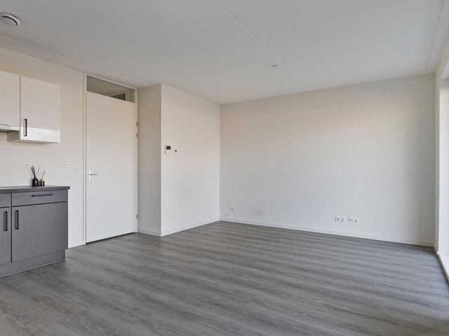 Bellamystraat 96, Terneuzen