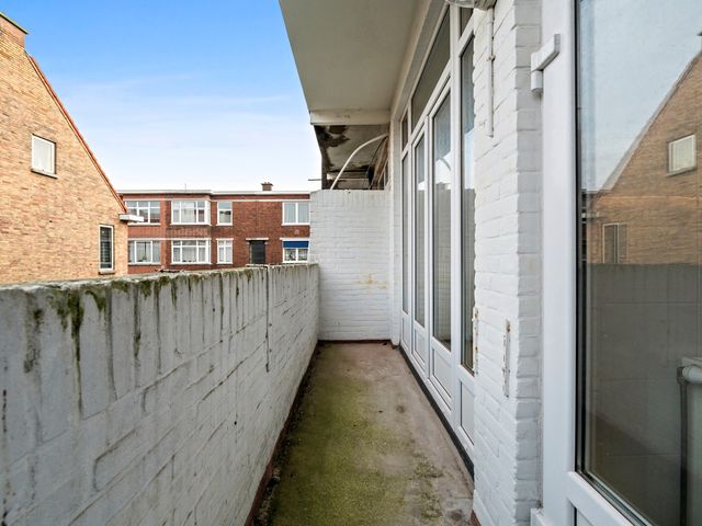 Linnaeusstraat 253, 's-Gravenhage