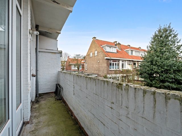 Linnaeusstraat 253, 's-Gravenhage