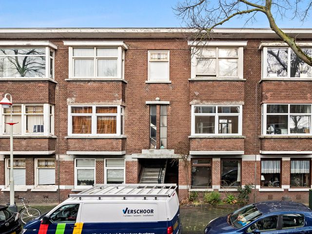 Linnaeusstraat 253, 's-Gravenhage