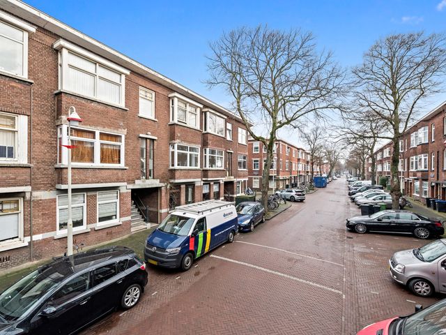 Linnaeusstraat 253, 's-Gravenhage