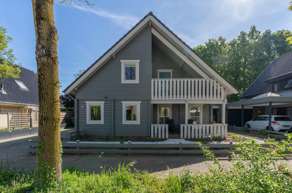 Zilverschoon 8