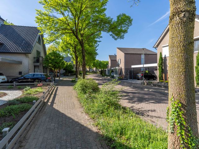 Zilverschoon 8, Venray