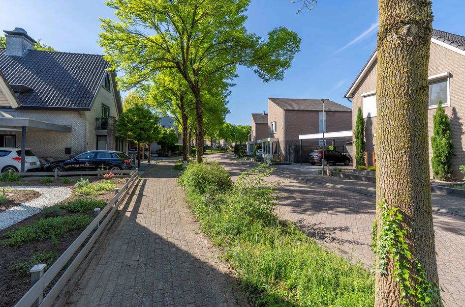 Zilverschoon 8