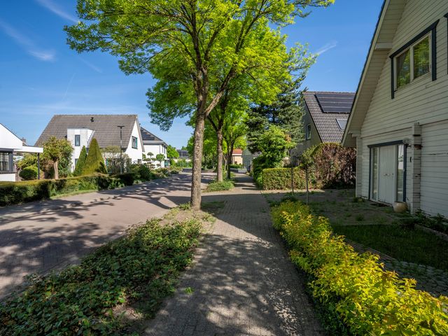 Zilverschoon 8, Venray