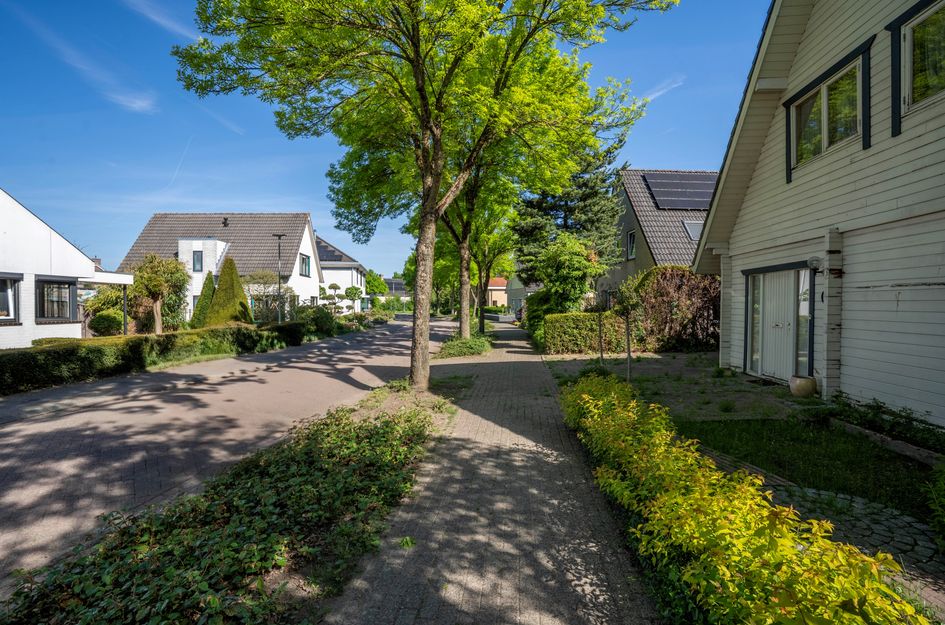 Zilverschoon 8