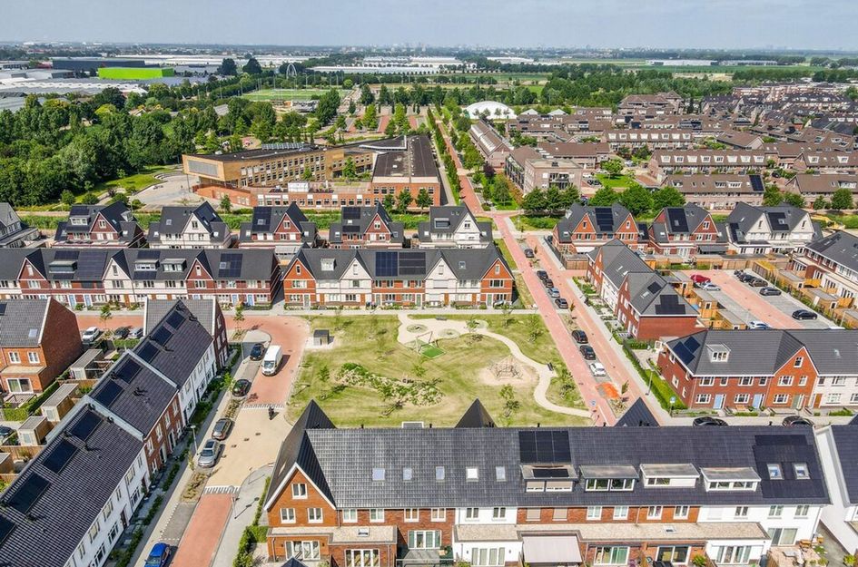 Knobbelzwaan 121