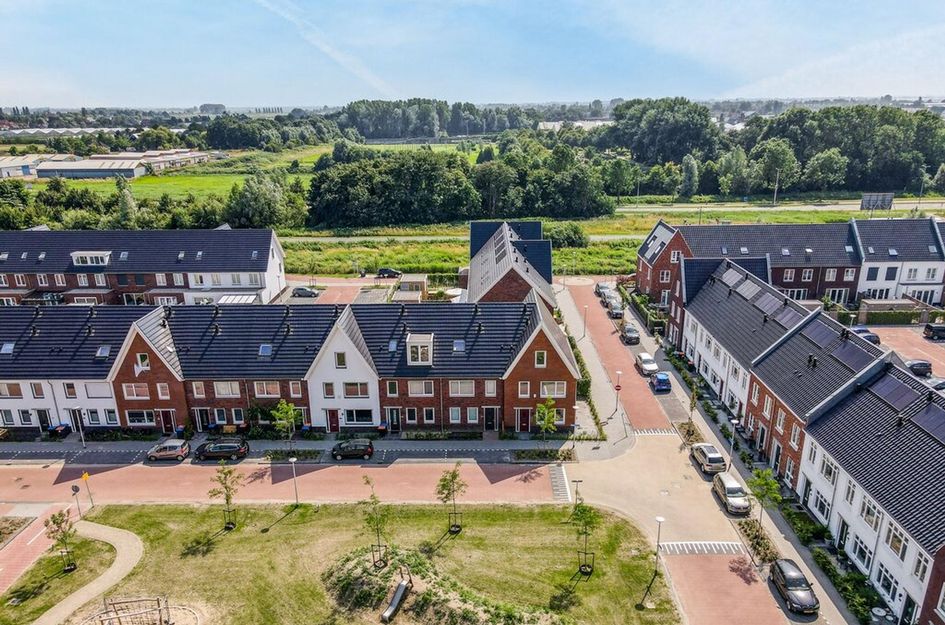 Knobbelzwaan 121