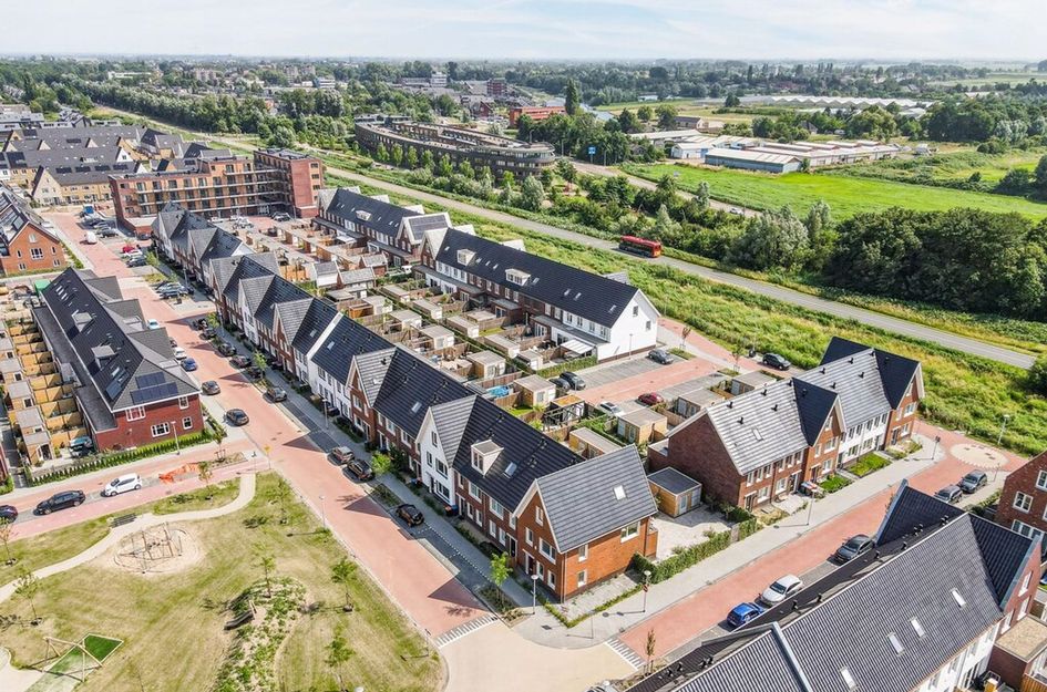 Knobbelzwaan 121