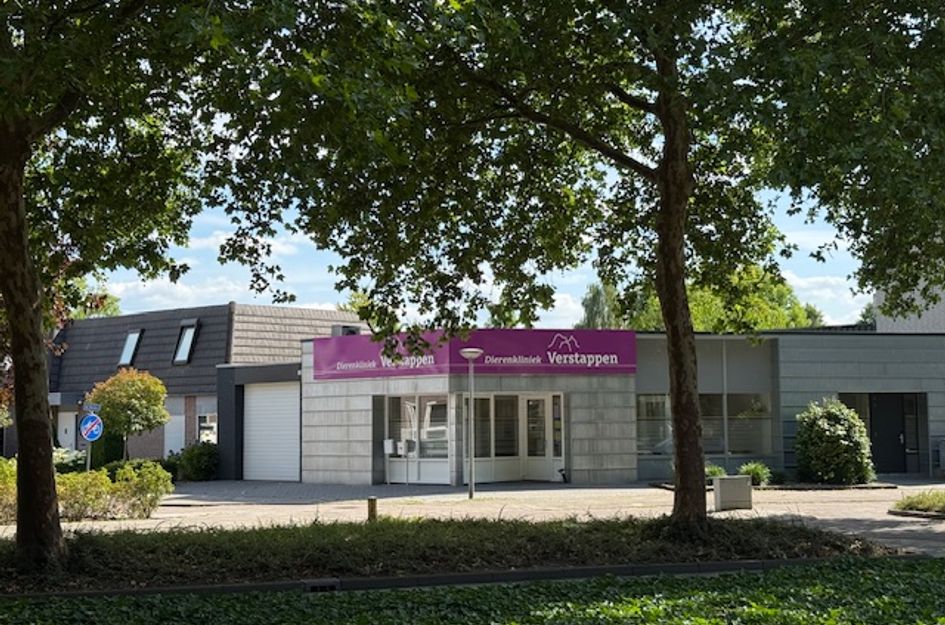 de Ronde 11A