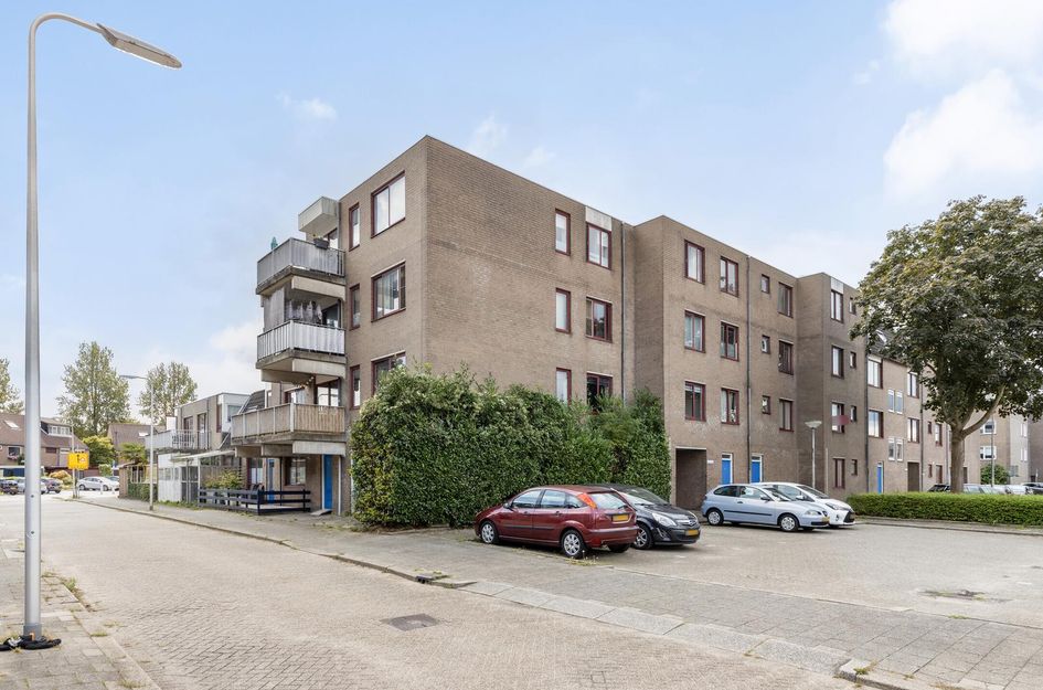 Ringspoor 152