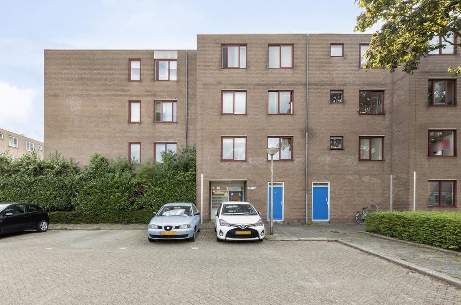 Ringspoor 152