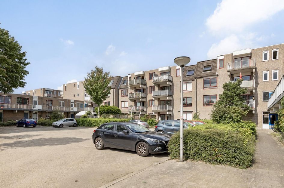 Ringspoor 152