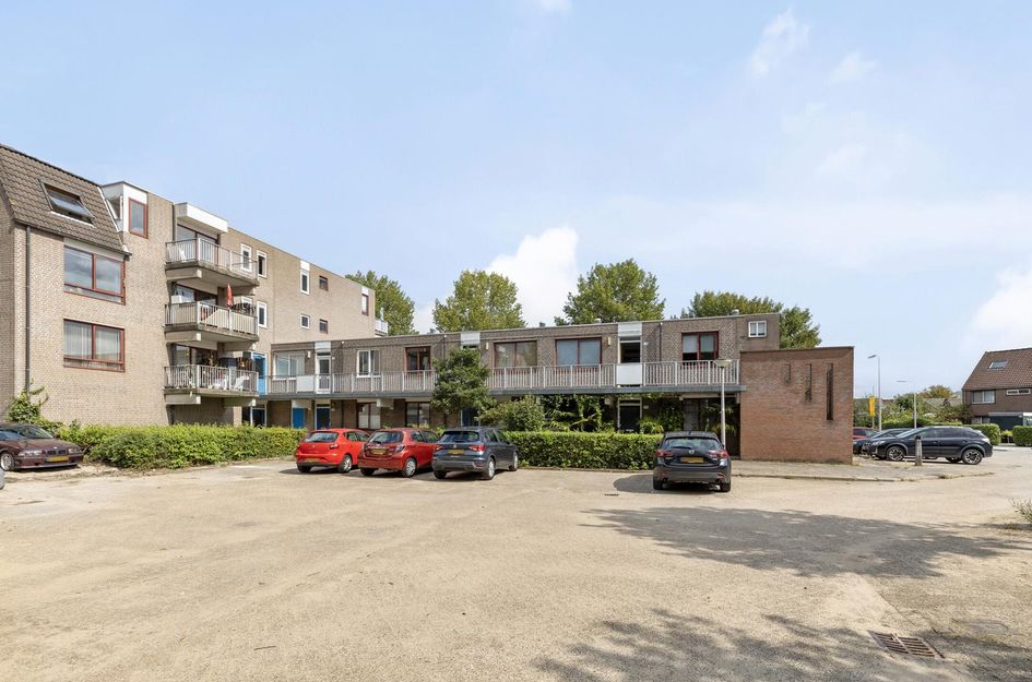 Ringspoor 152