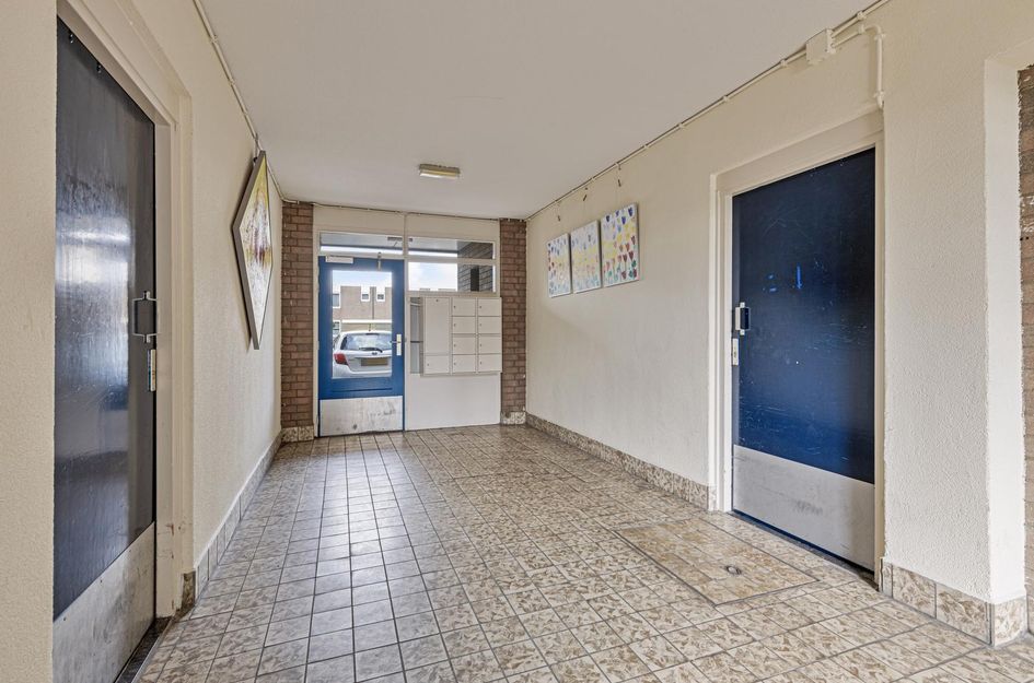 Ringspoor 152