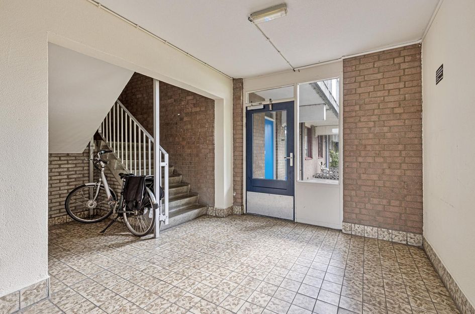 Ringspoor 152