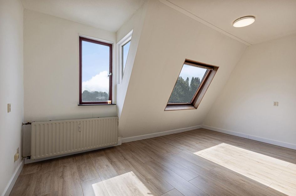 Ringspoor 152
