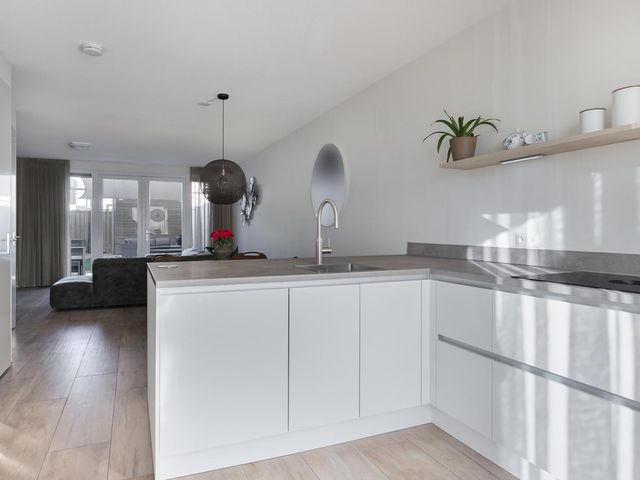 Apollovlinder 19, Terneuzen