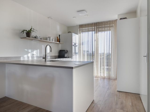 Apollovlinder 19, Terneuzen