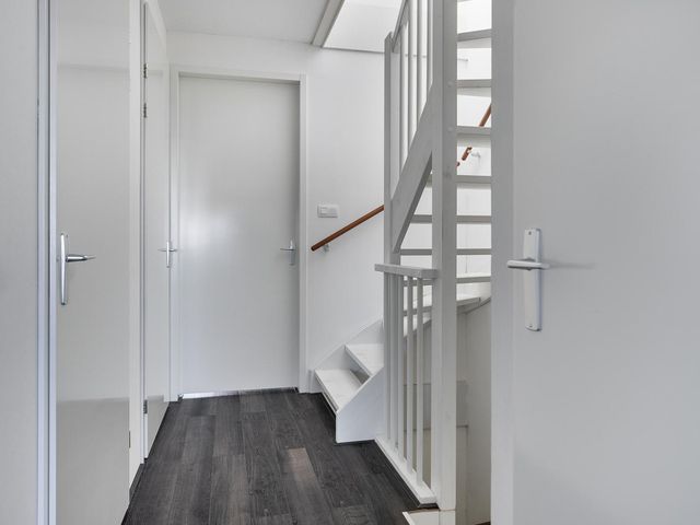 Apollovlinder 19, Terneuzen