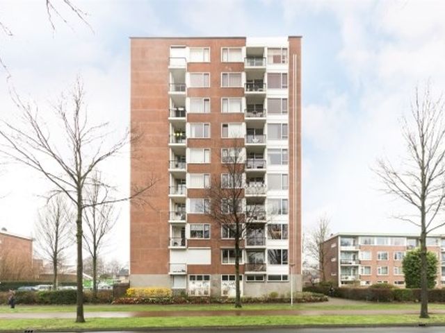 Pisanostraat , Eindhoven