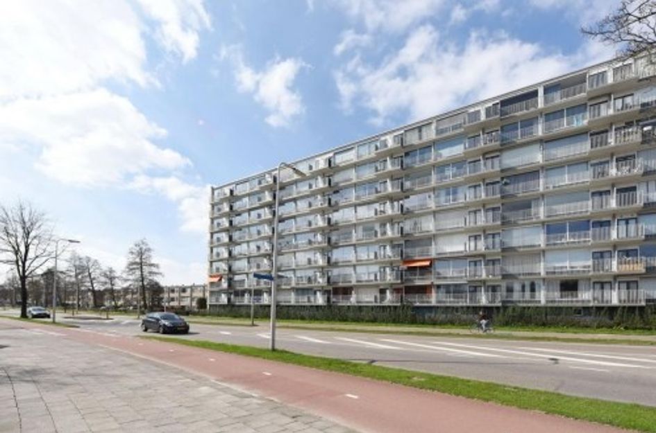 Rauwenhofflaan 