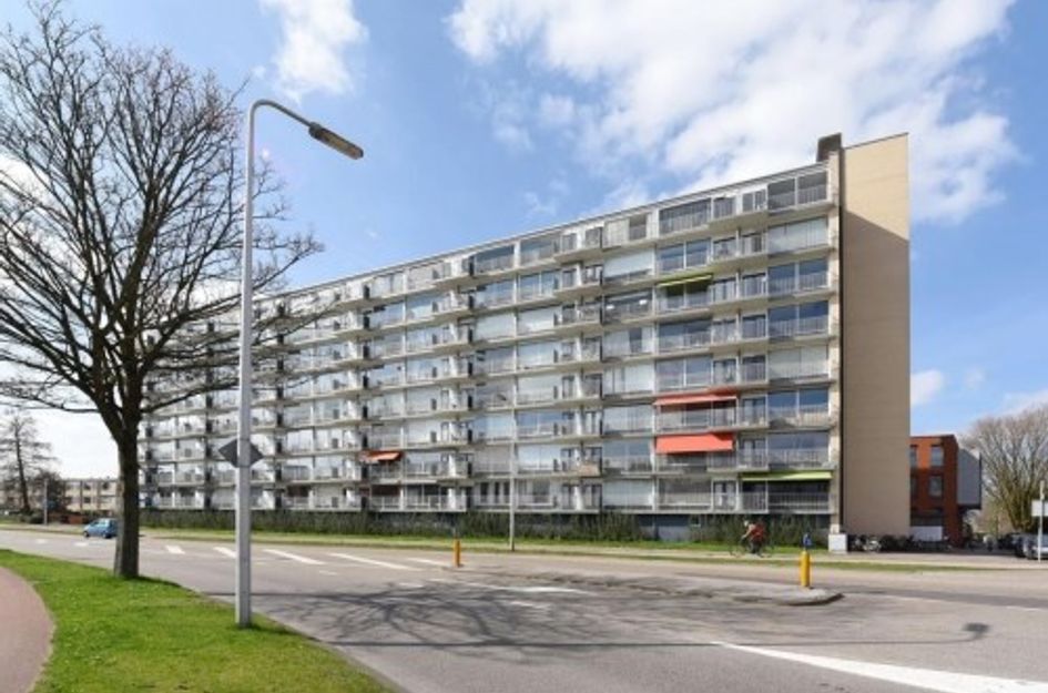 Rauwenhofflaan 