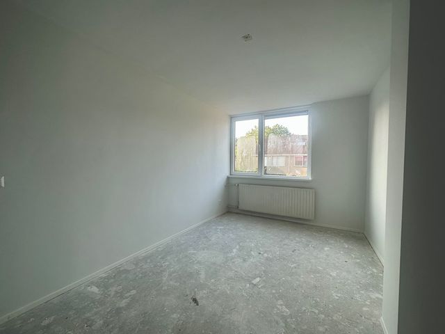 Lisgors 23, Mijnsheerenland