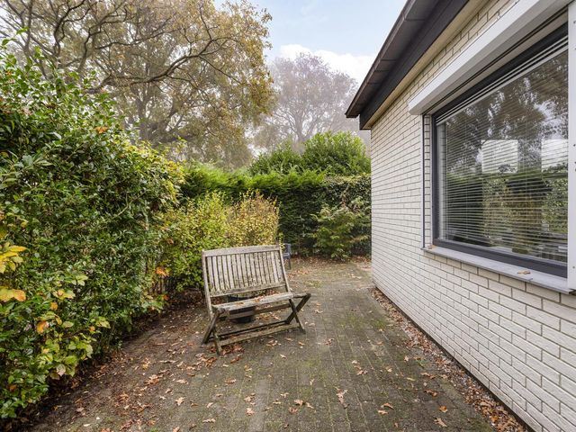 Kleine Horizon 114, Renesse