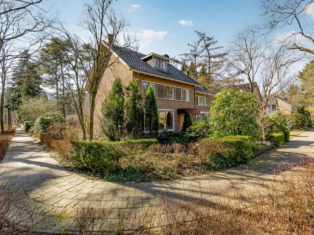 Witte de Withlaan 1, Doorn