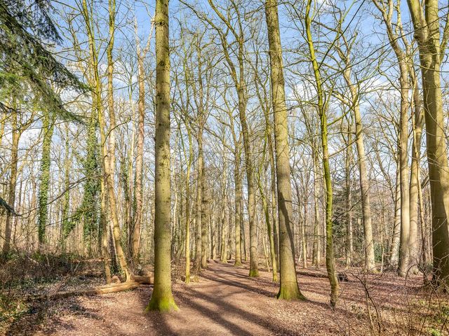 Iependreef 6, Ulvenhout