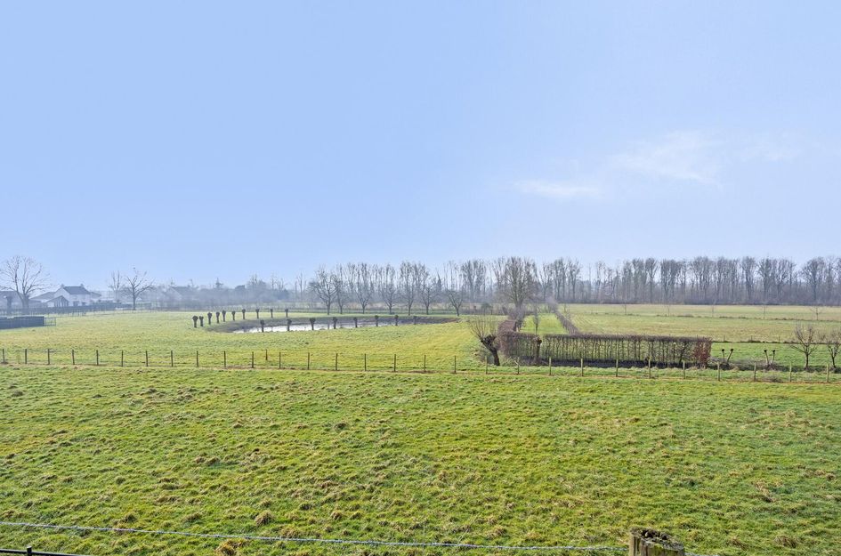 Dijk 36