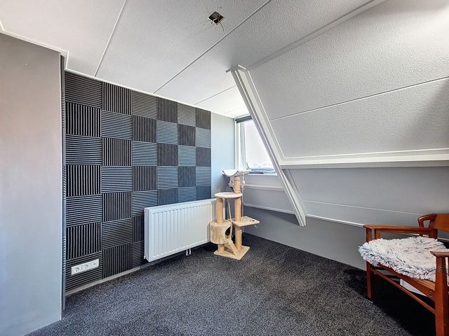 Monseigneur Luijpenstraat 9, Hoofdplaat