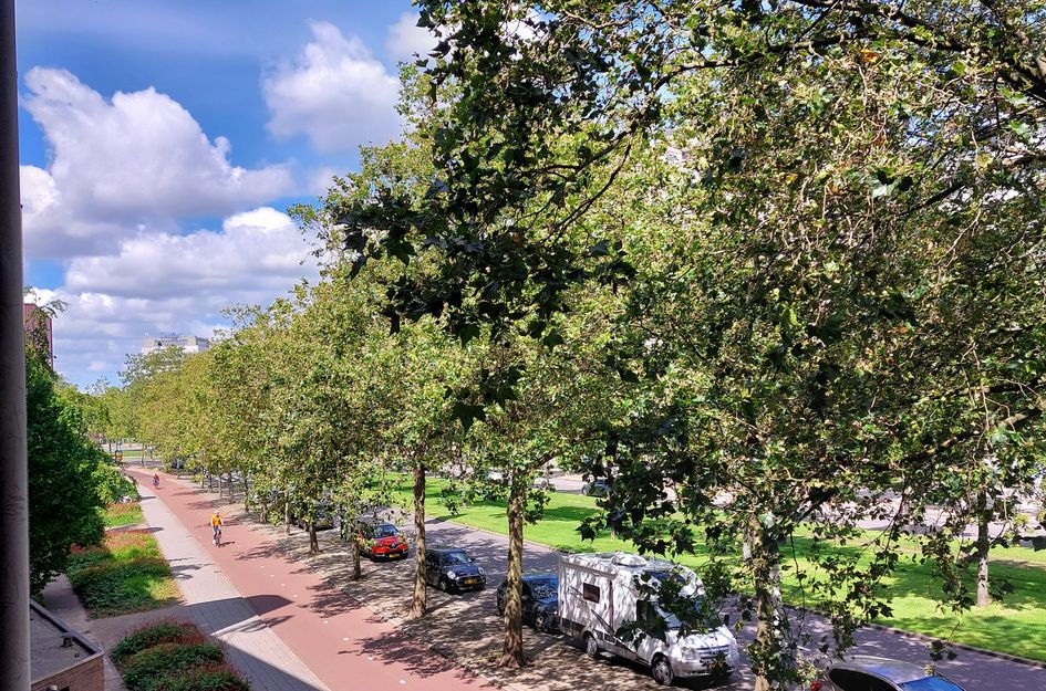 Goudsesingel 