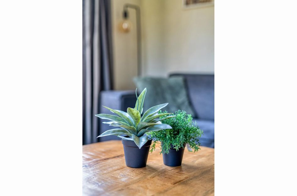 Akerstraat 153X 069