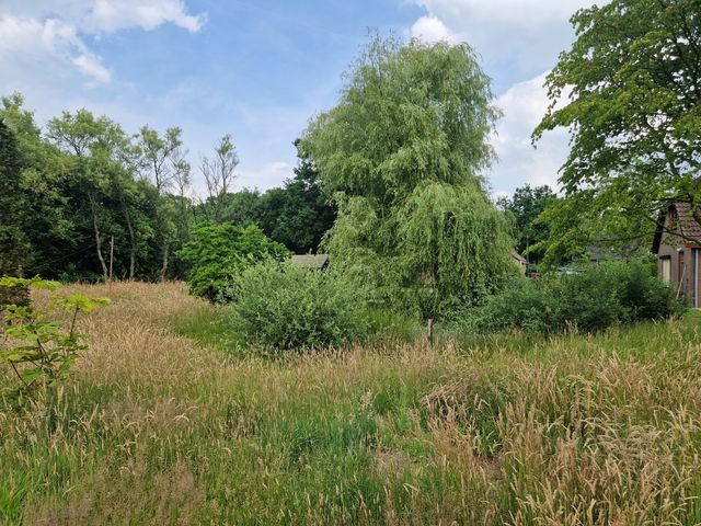Hoevesteeg 44, Tonden