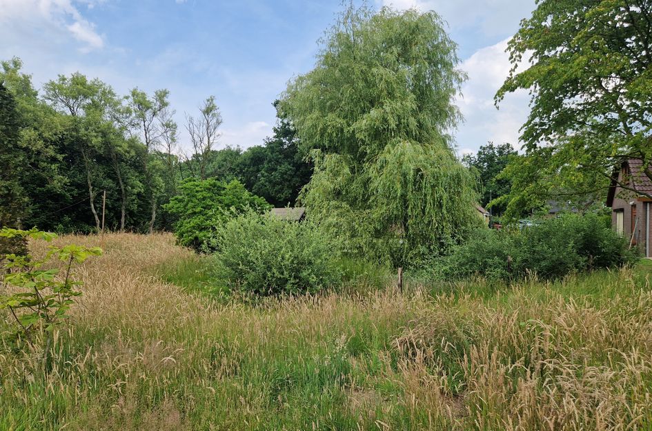 Hoevesteeg 44