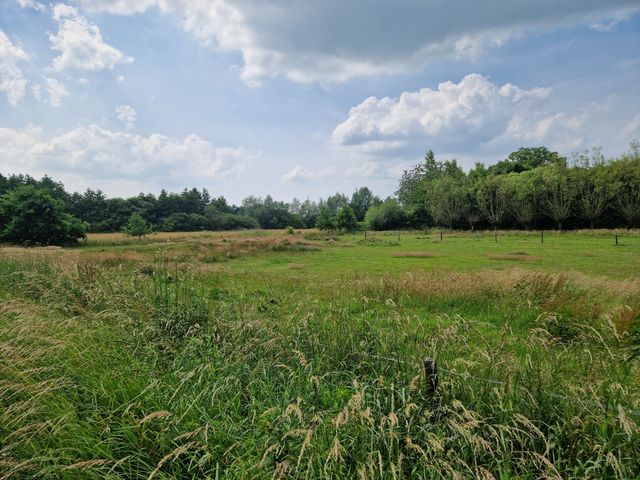 Hoevesteeg 44, Tonden