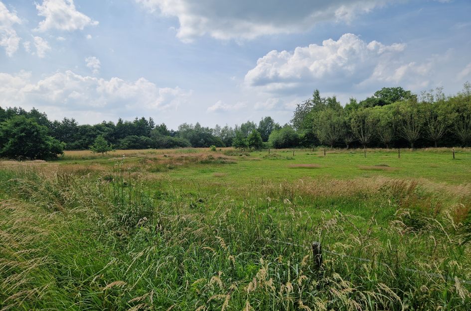 Hoevesteeg 44