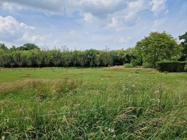 Hoevesteeg 44, Tonden
