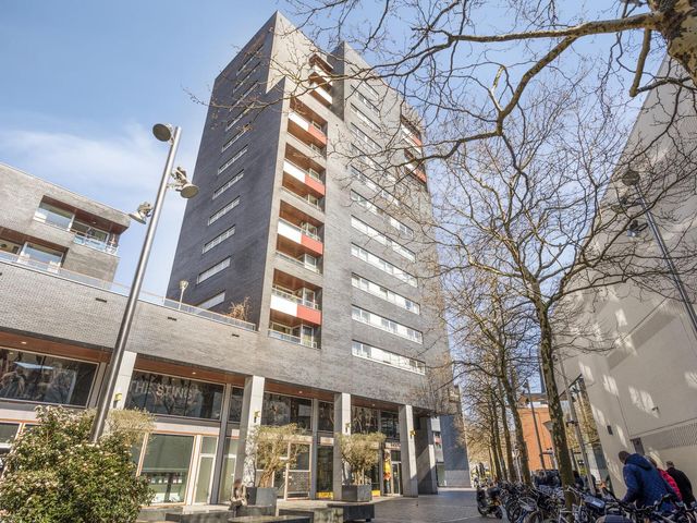Pieter Vreedeplein 74, Tilburg