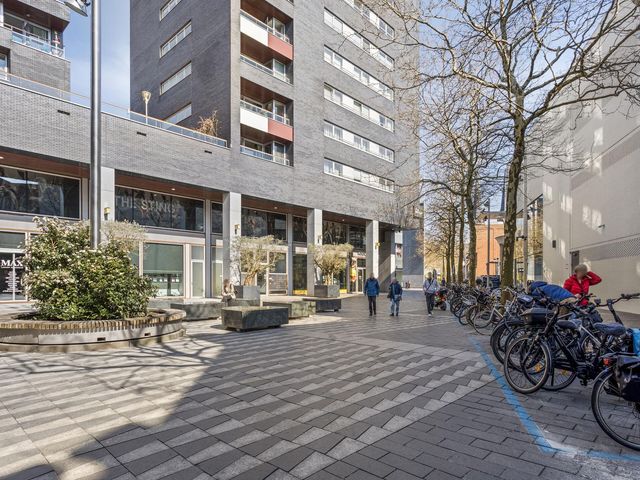 Pieter Vreedeplein 74, Tilburg